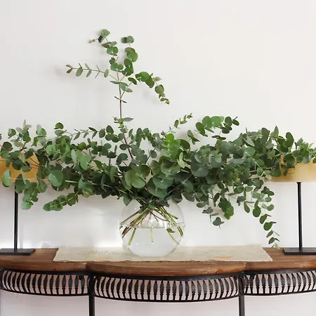 プリマルーチェ 4*