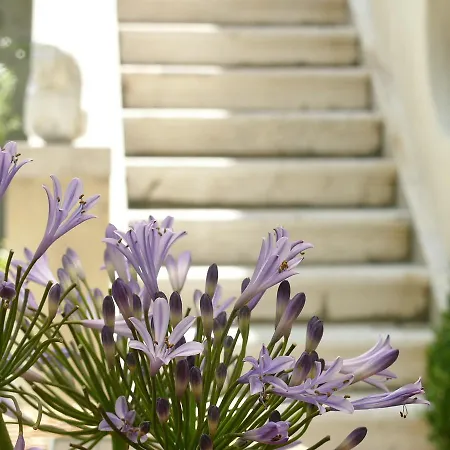 プリマルーチェ 4*